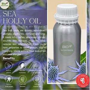 Premium Sea Holly <strong>Oil</strong> 1000ml (Premium Grade) Hot-Pressed Bulk Sale Cosmetic Base <strong>Oil</strong> - Product Image 2