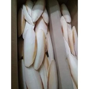 กระดูกปลาหมึกอบแห้งออร์แกนิกพร้อมส่งออกจำนวนมาก - Product Image 1
