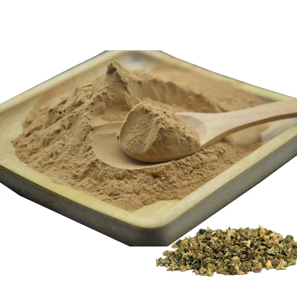 Tribulus Terrestris Extract Powder: Hot Seller with 90% Tribulus Saponins and 40% Protodioscin