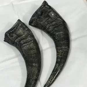 Authentic Rustic Buffalo <strong>Horn</strong> - Naturally <strong>Shaped</strong> and Perfect for Home Decor, Wall Displays, and Centerpiece Designs - Product Image 4