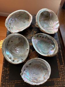 Ucuz yeşil abalone kabukları - Product Image 2