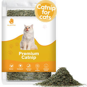 Customized Ease Anxiety Pleasant Mood Pure Natural <strong>Catnip</strong> Pet Chew Cat Dust Leaf Toys - Product Image 2