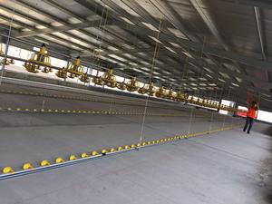 Broiler tavuk evi kanatlı çiftlik çiftlik evi poulailler Gallinero kanatlı ev için 10000 tavuklar - Product Image 4