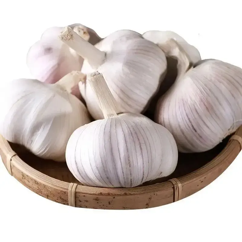 Mercato ha sbucciato il prezzo dell'aglio/aglio bianco di neve fresco/aglio fresco bianco puro bianco normale