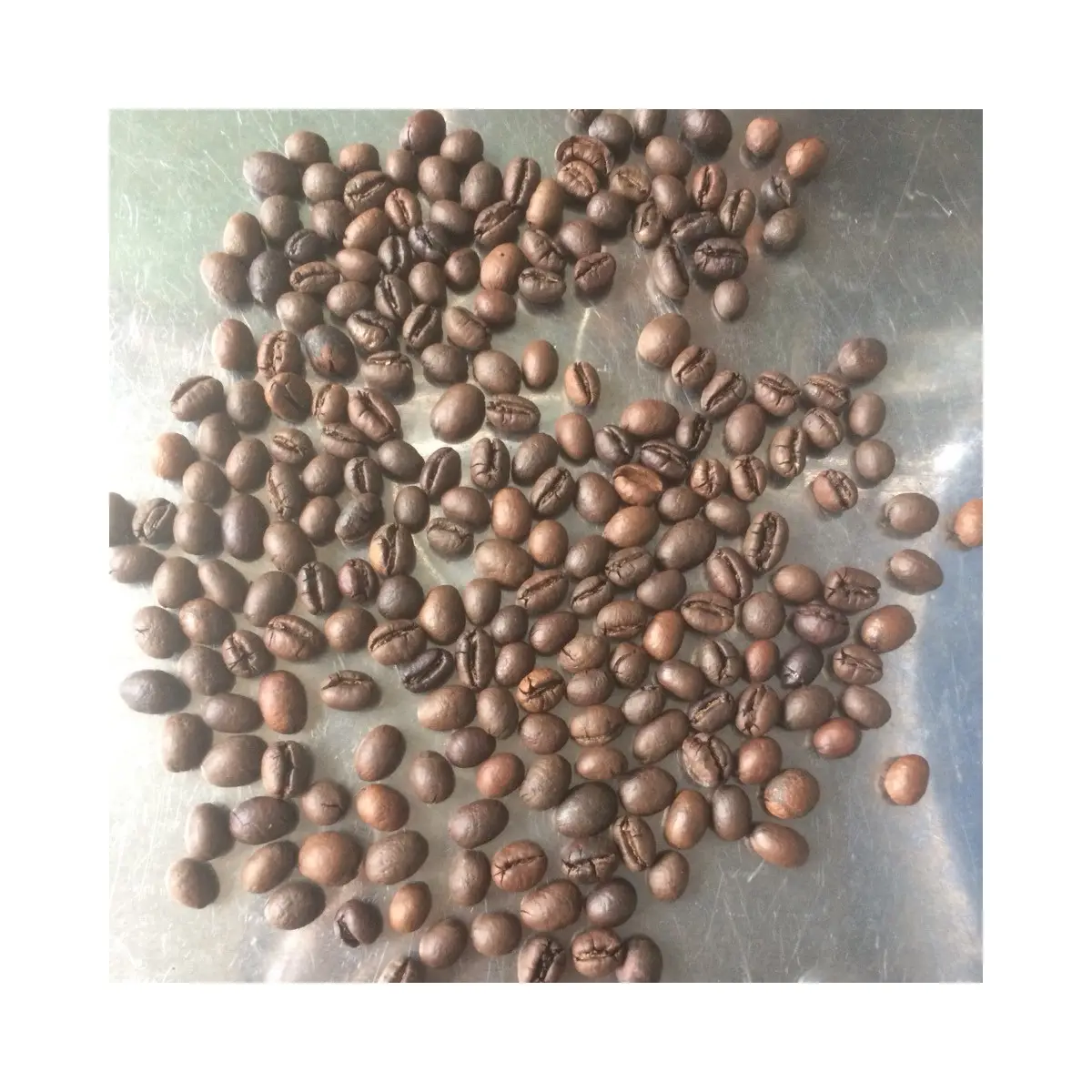 Granos de café Arábica Robusta tostados a precio competitivo orgánico fresco con sabor puro oscuro de alta calidad