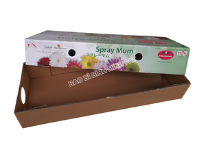 Carton Packing Fresh mango for Export Premium Luxury Cardboard <strong>Box</strong> Made in Vietnam Reasonable Price - Product Image 2