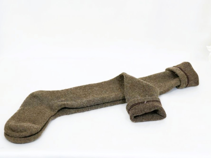 สีน้ำตาล