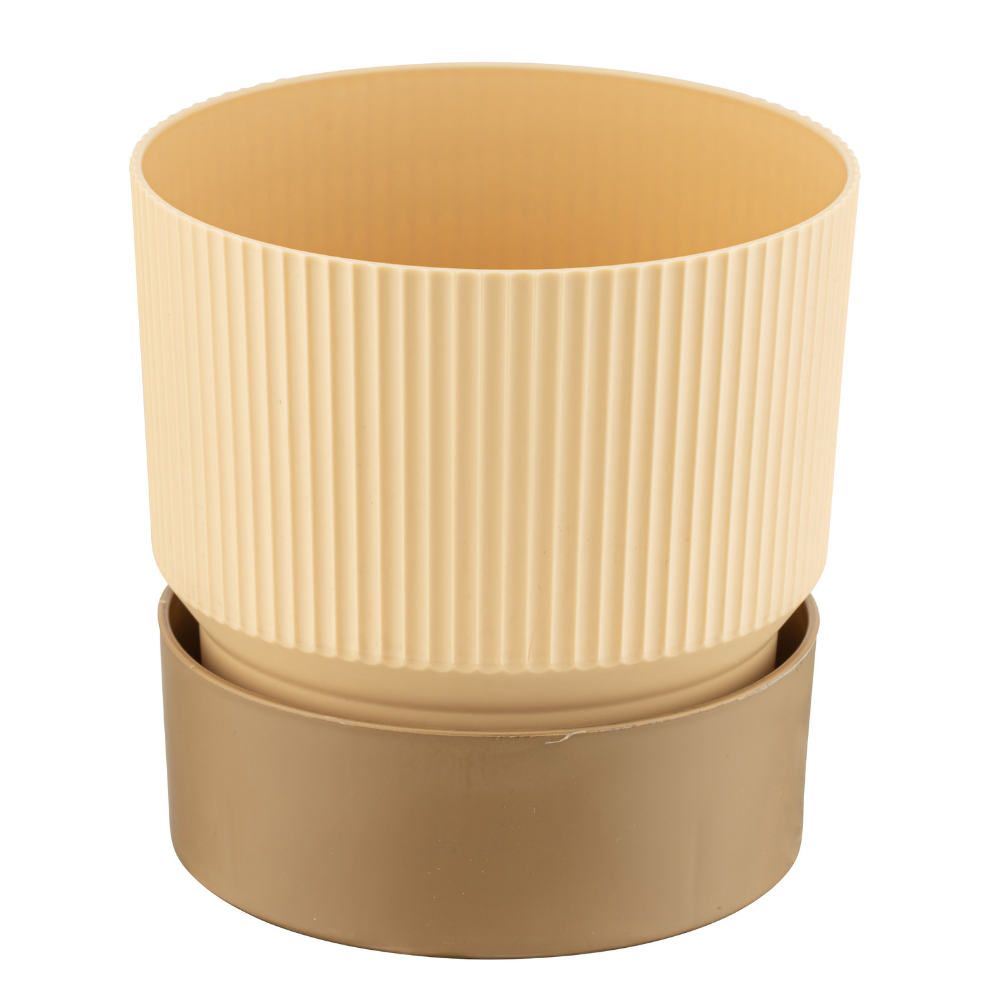 ดาโกต้า