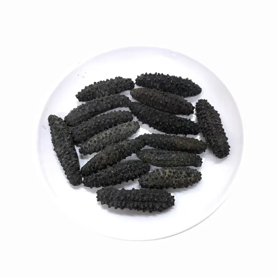 Pepino de mar seco PREMIUM, pepino de té blanco, pepino negro