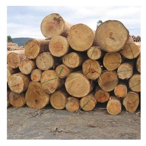 Construction Grade Eucalyptus Wood Round Logs Durable Timber <strong>Teak</strong> Pine Oak Hardwood for Outdoor Use - Product Image 6