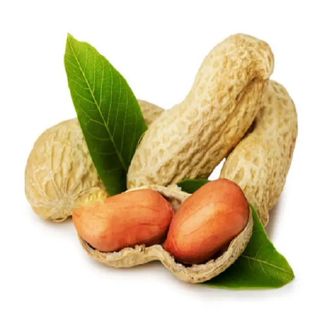 Alto grau não-OGM amendoim natural amendoim a granel produto natural amendoim cru para alimentos