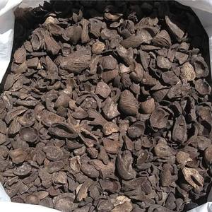 准备出口PKS/椰子壳/棕榈仁壳的农业废物批发供应商