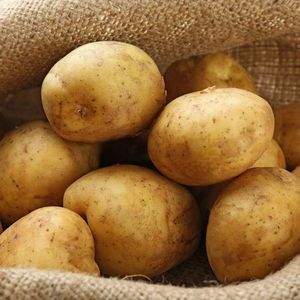 Wholesale 100% Organic Fresh <strong>Potatoes</strong> High Quality with Cheap Price Per Ton - Product Image 5