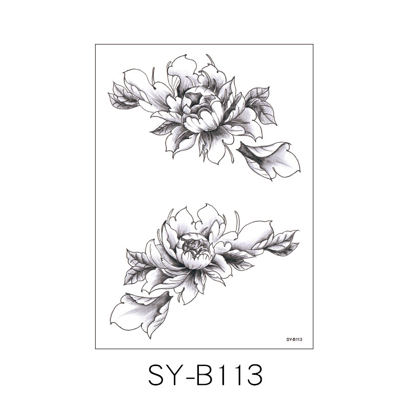 SY-B113