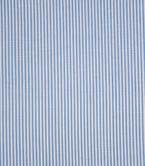 Blue Stripe