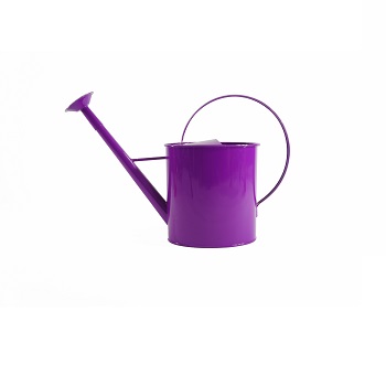 LIGHT PURPLE