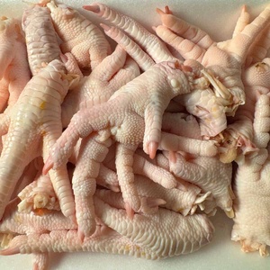 高品質の鶏の足冷凍加工鶏の足ブラジルからグレード冷凍鶏の足と足