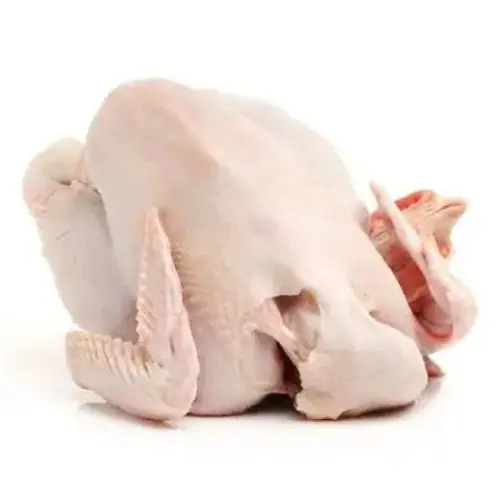 Wholesale Cheap Price Frozen Halal Chicken Feet Fresh Frozen Chicken Parts Grade " Brazilian Chicken For Sales