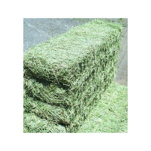 Toplu % kabayonca saman sıkıştırılmış veya standart balya boyutlarında mevcuttur - Product Image 2