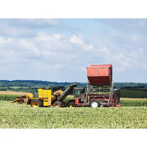 Machine agricole de haute qualité cueilleur de coton moissonneuse de coton Chalion 4 rangées prix de moissonneuse-batteuse de maïs