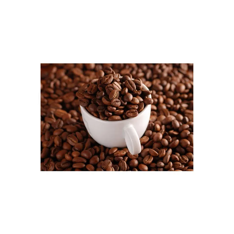 Vendita calda di chicchi di caffè in Arabica biologica arrostiti