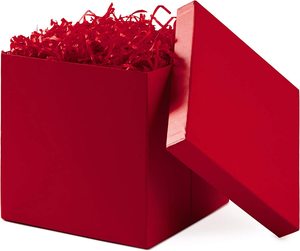 TRs-1002 Gift <strong>Box</strong> with Lid (<strong>Red</strong>) for Christmas