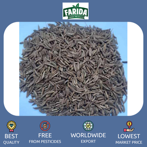 Premium Quality <strong>Egypt</strong> Origin Export 100% Pure and Dried Raw Single Spices Product Egyptian Cumin Seeds for Bulk Purchase - Product Image 3
