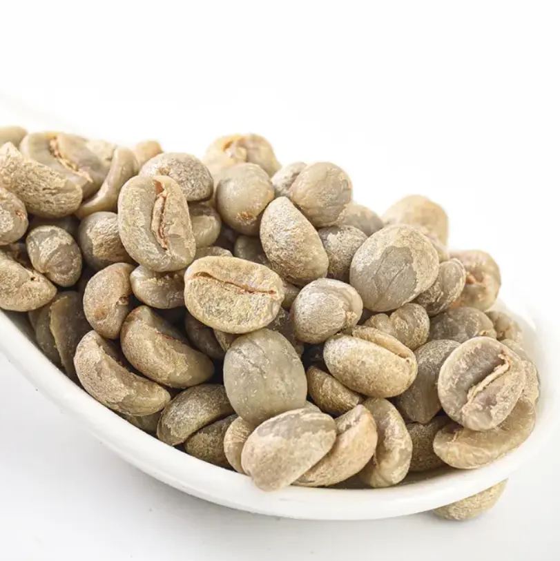 Granos de café Arábica verde 100% granos de café verde Robusta especiales café de alta calidad a precio asequible