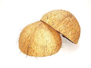 SHELL di noce di cocco di esportazione HOT DEAL miglior prezzo sul mercato/guscio di noce di cocco crudo di alta qualità a buon mercato - Product Image 4