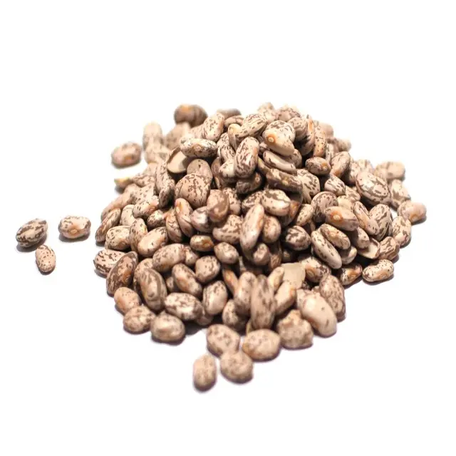 食品用の斑点のある赤インゲン豆からの高品質の非GMO 100% ピント豆 (60/70グレード)
