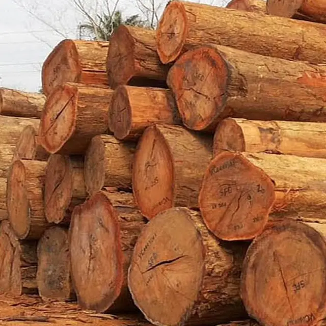 Madera de arce duro canadiense cepillada y redonda, tamaños de madera, troncos de madera Padauk rojos para muebles