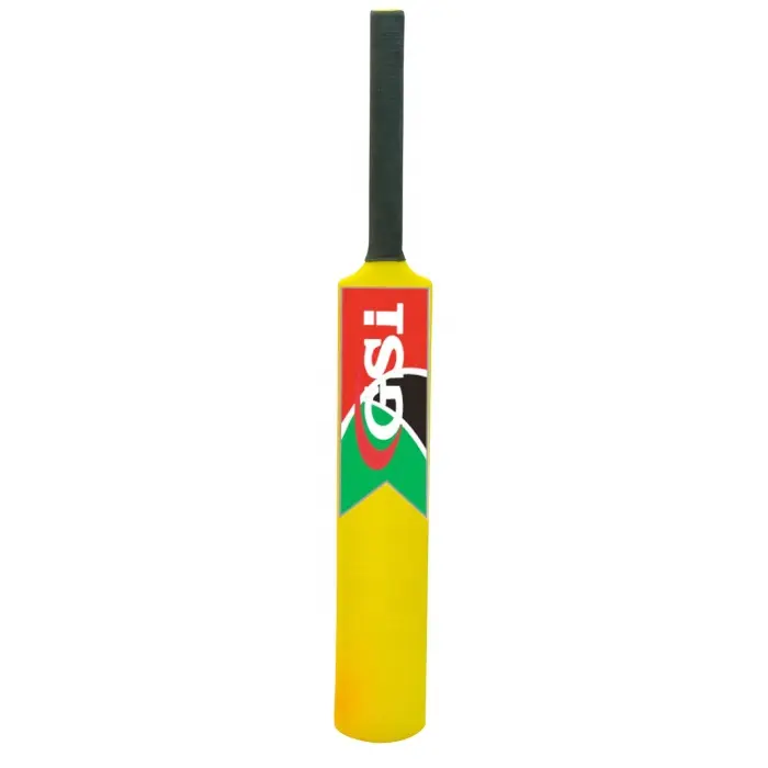 Ensemble de batte de cricket en plastique de haute qualité avec logo personnalisé bon marché batte de cricket pour débutants enfants adultes intérieur extérieur plage