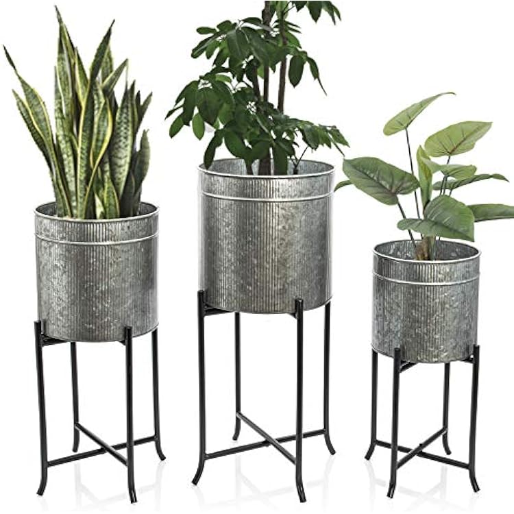 ตามที่แสดง