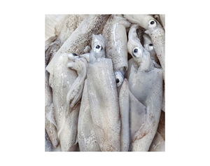 Yüksek kalite dondurulmuş Gigas kalamar tüpü <span class=keywords><strong>U3</strong></span> U4 U5 balık toptan fiyat taze kalite kalamar 50-150g dondurulmuş okyanus kalamar