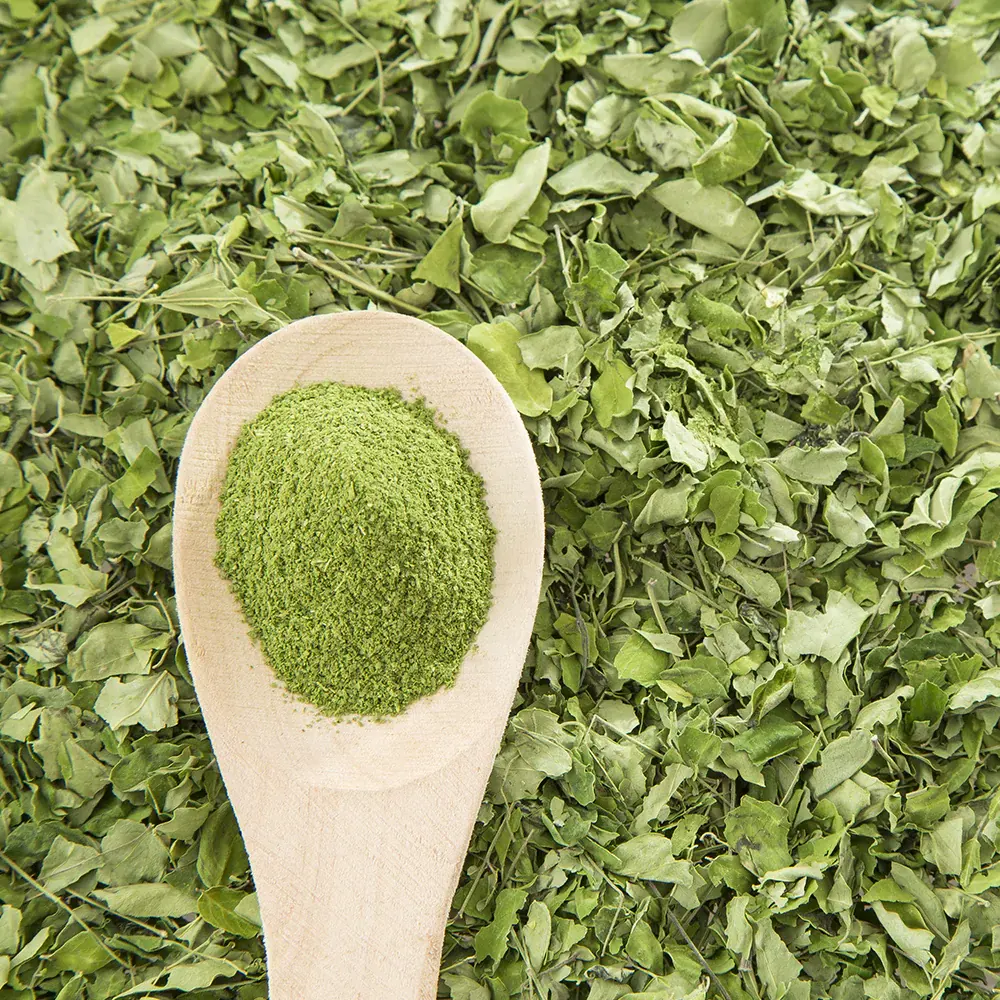 Poudre de Moringa en vrac Extrait de feuille de Moringa pur naturel Poudre de feuilles de Moringa