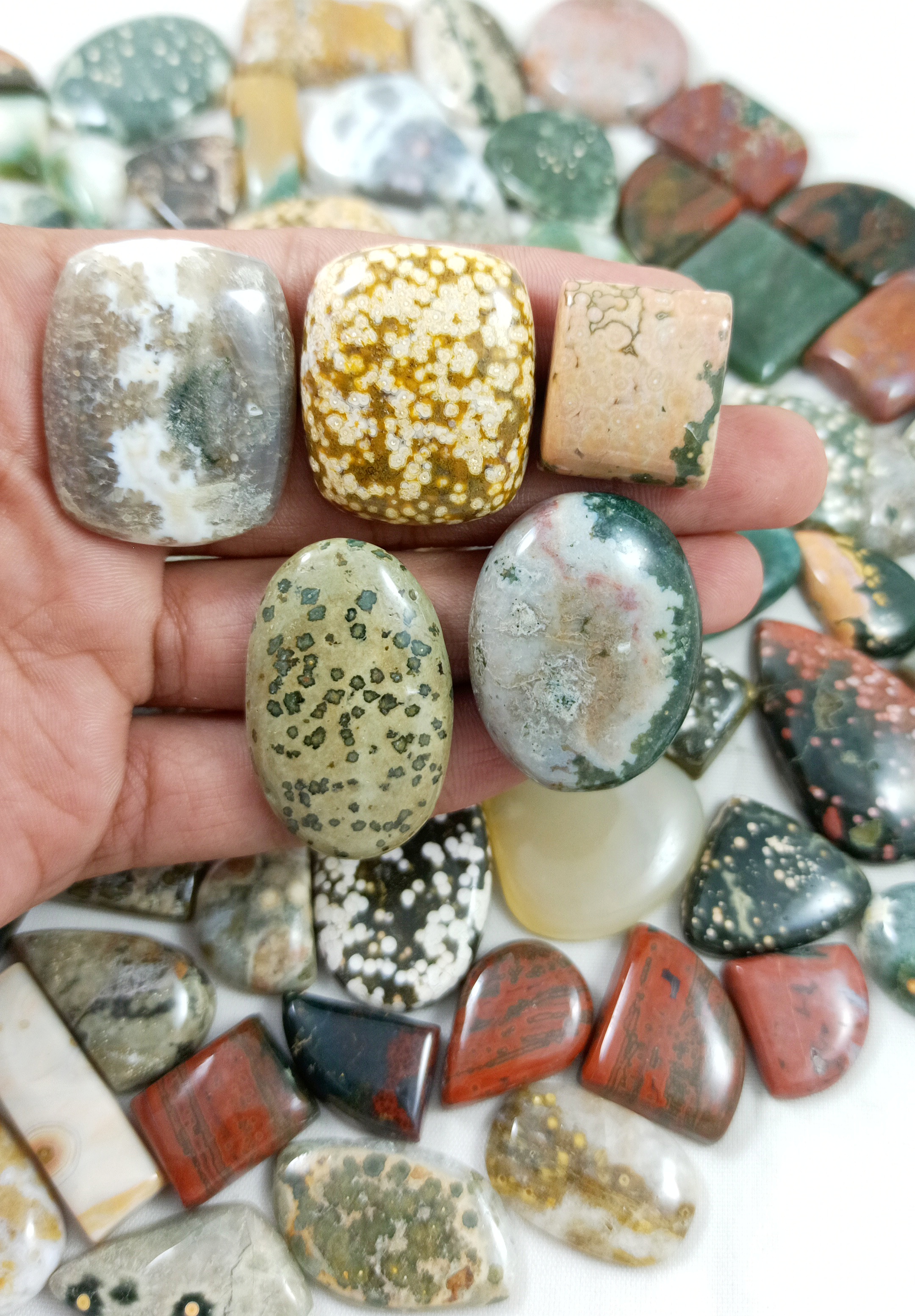 Multi Color