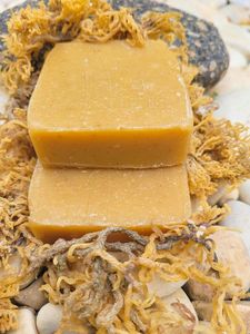 ORGANIC SEAMOSS SOAP / MINERAL RICH / CLEAN LABEL / PLANT PURITY - Product Image 2