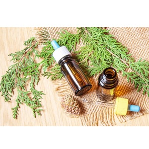<strong>Best</strong> Price Bulk Exporter of <strong>Cypress</strong> Essential <strong>Oil</strong> Customized Packaging 10ml Bottle for Skin Use - Product Image 1
