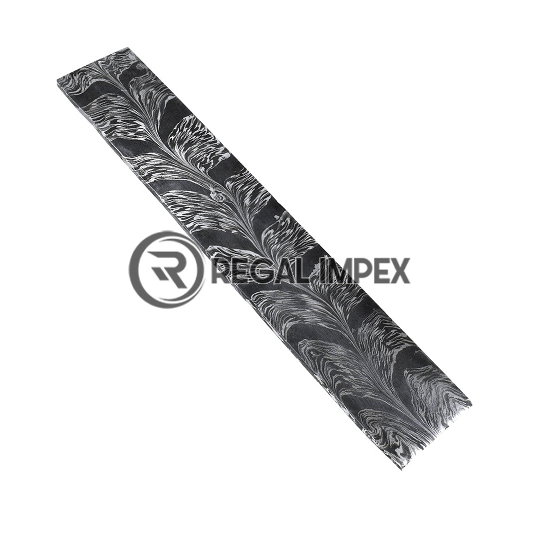 Plume de serpent noir