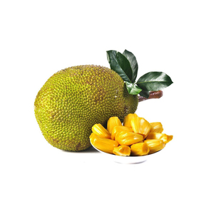 Fresh jackfruit available in bulk for <strong>export</strong> to fruit importers and wholesale markets - Product Image 2