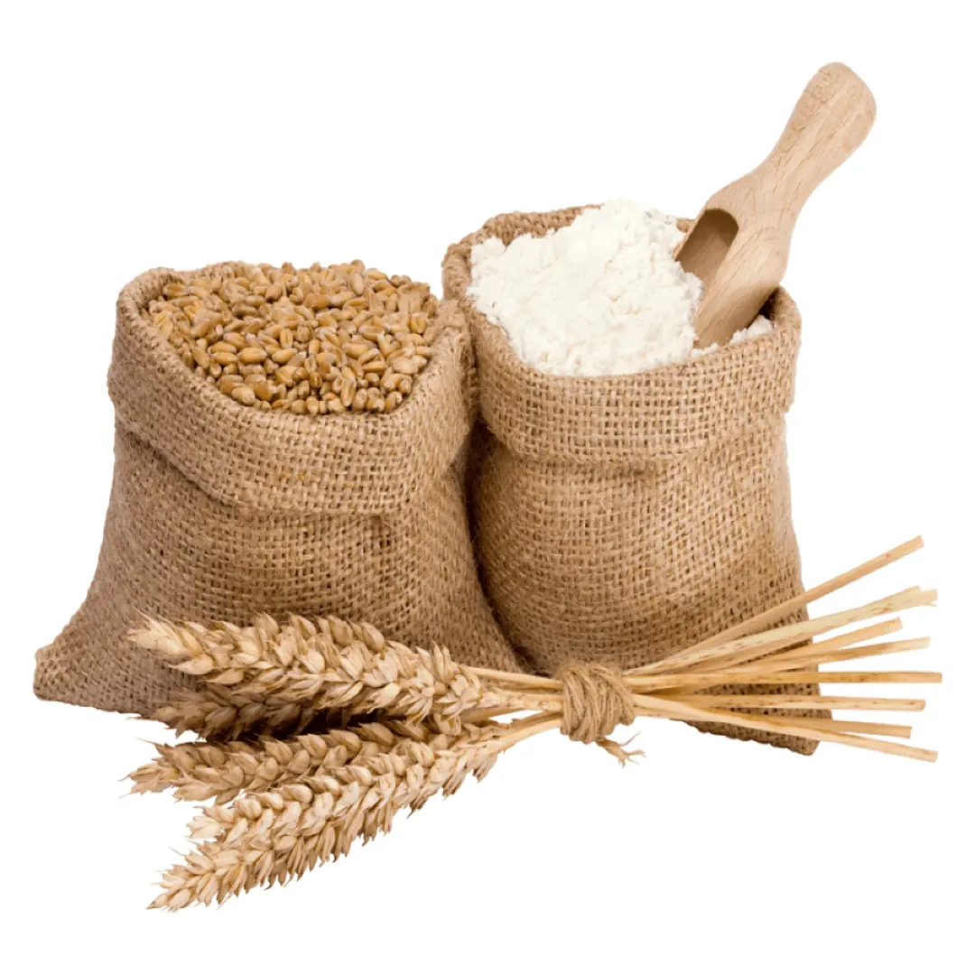 Farinha de trigo para pão, trigo quatro para assar, farinha de trigo branca com preço razoável