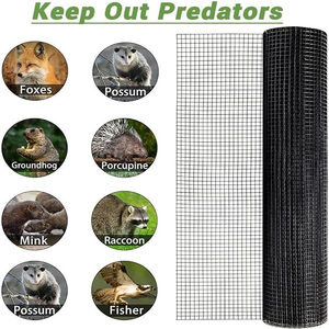 36&quot;*50' 1/2&quot;X 1/2&quot; PVC Coated Welded <strong>Wire</strong> Mesh for Garden Fence Rabbit Cage <strong>Net</strong> - Product Image 4