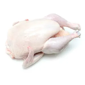 Processed <strong>Chicken</strong> Feet Wholesale Poultry Meat Suppliers <strong>Preservation</strong> Food Processing Frozen <strong>Chicken</strong> Feet For Sale - Product Image 1
