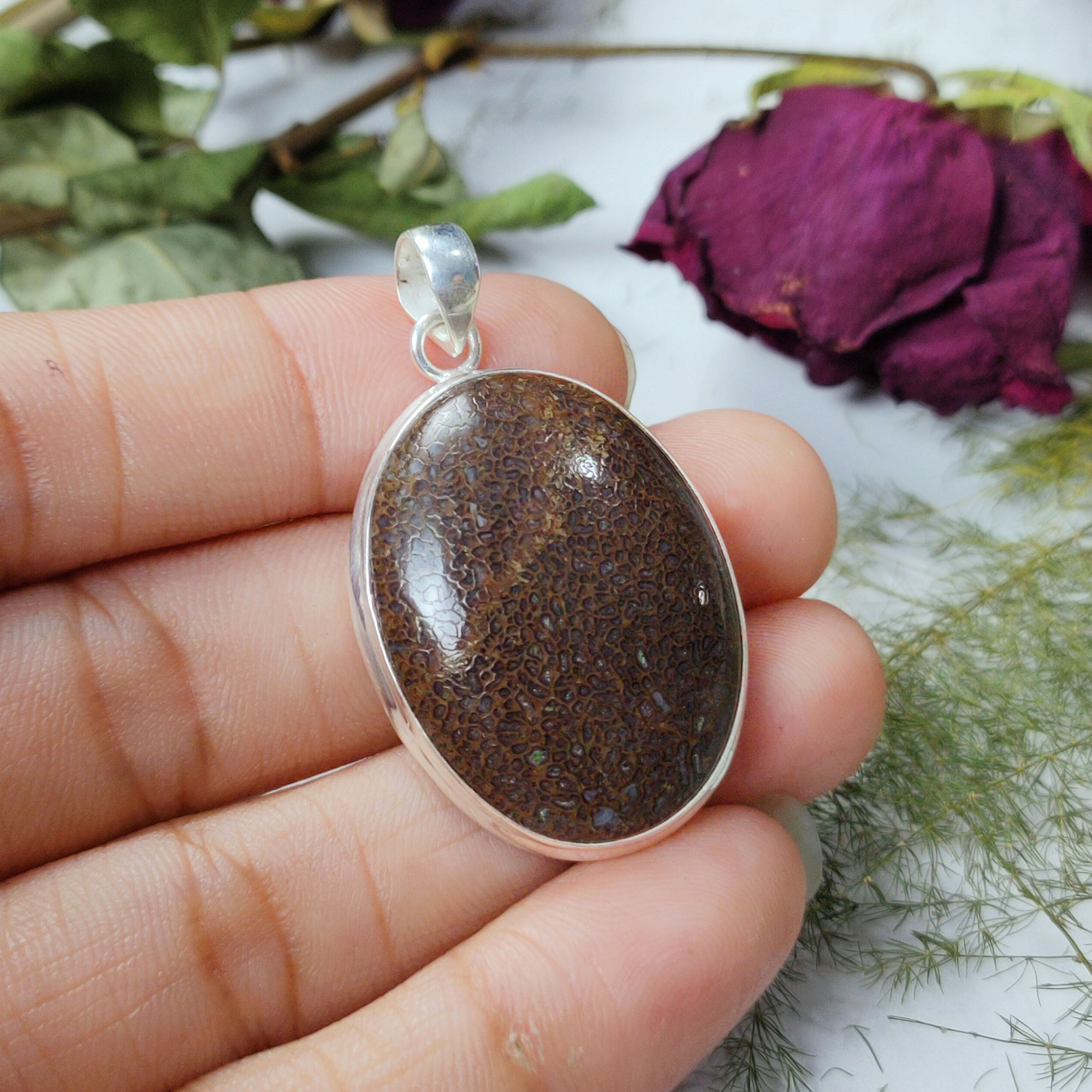 Dinosaur Bone jasper