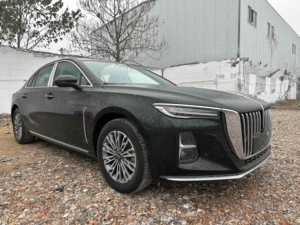 Hongqi H5 2025 2.0T otomatik amiral gemisi zevk 500000 hatıra sürümü yeni 2025 Hongqi H5 araba - Product Image 3