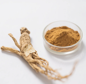 हर्बल अर्क एंजेलिका साइनस रूट सबसे अच्छी कीमत एंजेलिका अर्क 10:1 कई विनिर्देशों - Product Image 4