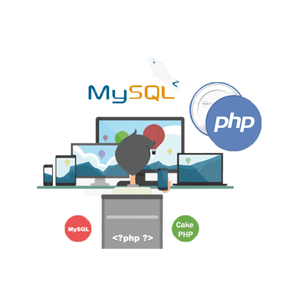 Hindistan'da en iyi PHP web ve uygulama hizmetleri | Hindistan'da en iyi PHP web ve uygulama hizmetleri-Protolabz eServices
