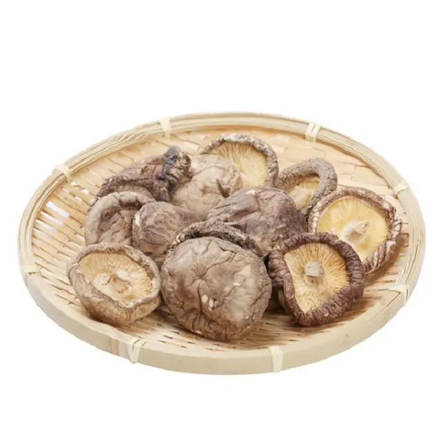 Seta shiitake seca orgánica al por mayor, la mejor seta shiitake seca para plato, seta forestal