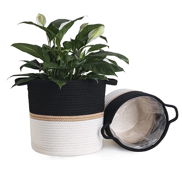 ตามที่แสดง