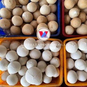 มะพร้าวสดจากเวียดนามผลไม้สดปลอดสารพิษ - Product Image 3